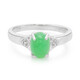 Anillo en plata con Crisoprasa imperial