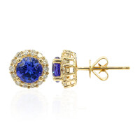 Pendientes en oro con Tanzanita AAA (CIRARI)