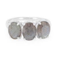 Anillo en plata con Labradorita