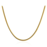 Collar en plata
