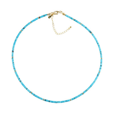 Collar en plata con Turquesa