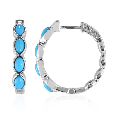 Pendientes en plata con Turquesa bella durmiente
