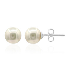 Pendientes en plata con Perla de Akoya (TPC)