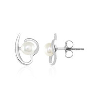 Pendientes en plata con Perla Freshwater