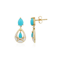 Pendientes en plata con Turquesa bella durmiente
