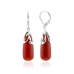Pendientes en plata con Ágata roja