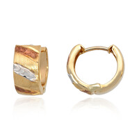 Pendientes en oro
