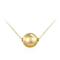 Collar en oro con Perla dorada del mar del sur (TPC)