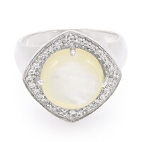 Anillo en plata con Concha de Abalone