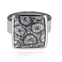 Anillo en plata con Piedra petoskey