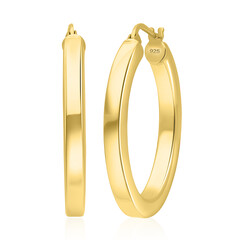 Pendientes en plata
