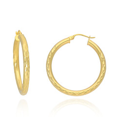 Pendientes en plata