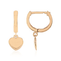 Pendientes en plata