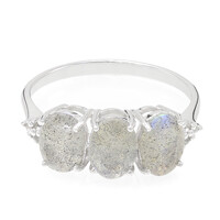 Anillo en plata con Labradorita