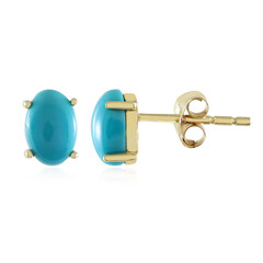 Pendientes en oro con Turquesa bella durmiente