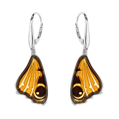 Pendientes en plata con Ámbar báltico (dagen)