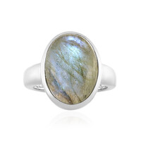 Anillo en plata con Labradorita