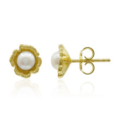 Pendientes en plata con Perla Freshwater (TPC)