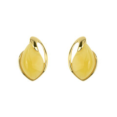 Pendientes en plata con Ámbar báltico