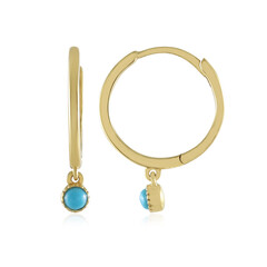 Pendientes en plata con Turquesa