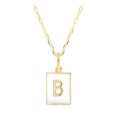 Collar en plata