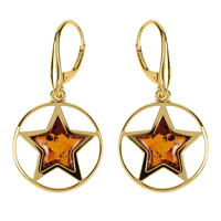 Pendientes en plata con Ámbar báltico