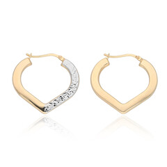Pendientes en plata