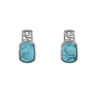 Pendientes en plata con Turquesa (dagen)