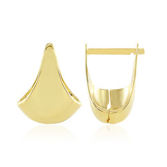 Pendientes en plata
