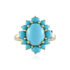 Anillo en plata con Turquesa bella durmiente