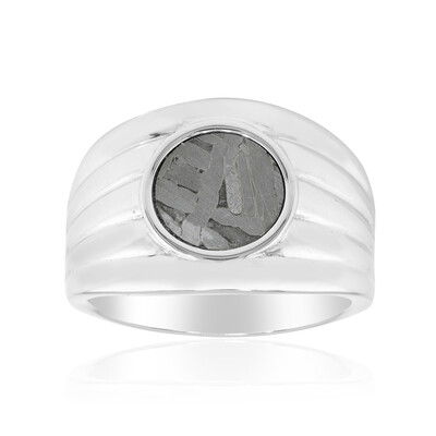 Anillo en plata con Meteorito Aletai