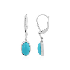 Pendientes en plata con Turquesa bella durmiente