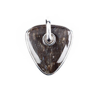 Colgante en plata con Madera de palma petrificada
