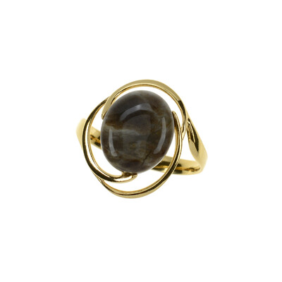 Anillo en plata con Madera de palma petrificada (dagen)