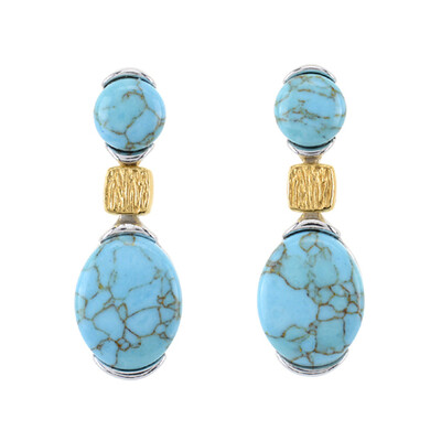 Pendientes en plata con Turquesa (dagen)