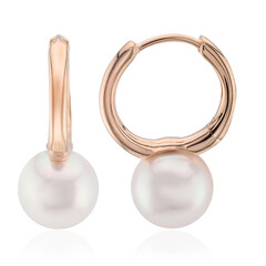Pendientes en oro con Perla de Akoya (TPC)
