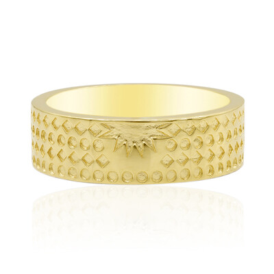 Anillo en plata