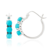 Pendientes en plata con Turquesa bella durmiente