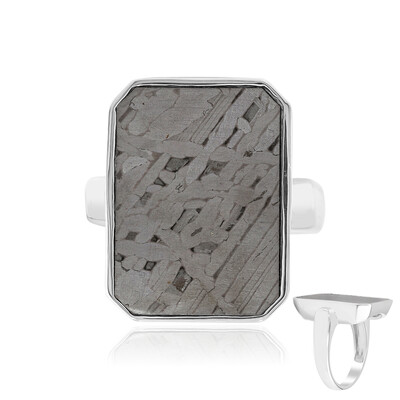 Anillo en plata con Meteorito Aletai