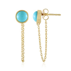 Pendientes en plata con Turquesa bella durmiente