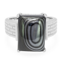 Anillo de hombre en plata con Psilomelana
