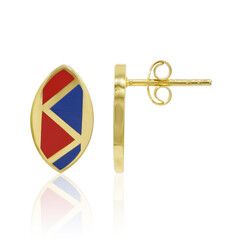 Pendientes en plata