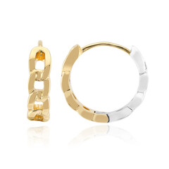 Pendientes en plata