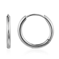 Pendientes en plata