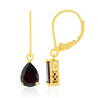 Pendientes en plata con Granate