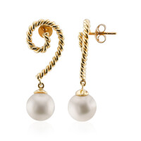 Pendientes en oro con Perla blanca Freshwater (TPC)