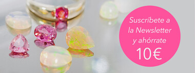 No te pierdas descuentos exclusivos y últimas novedades