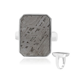 Anillo en plata con Meteorito Aletai