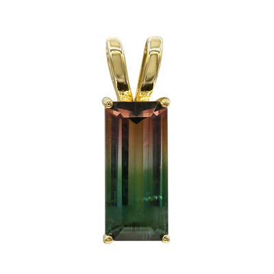 Colgante en oro con Turmalina multicolor