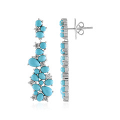 Pendientes en plata con Turquesa bella durmiente (Dallas Prince Designs)